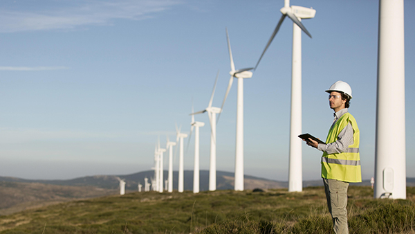Innovation and Energy Efficiency: Drivers of the Future Wind Energy Sector