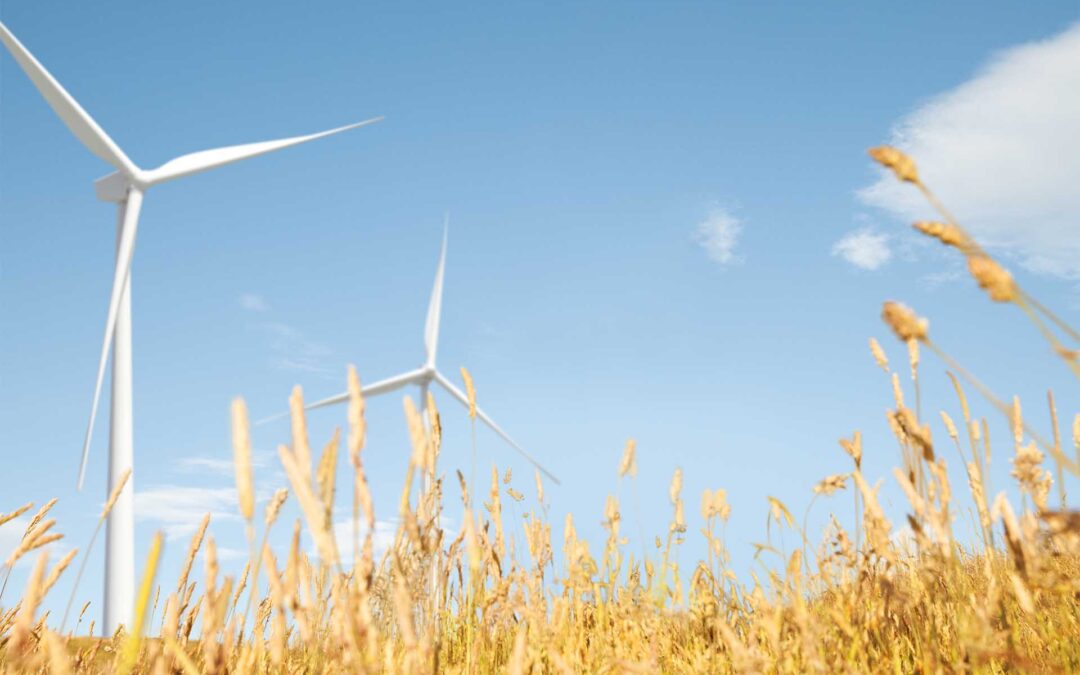 2023: O Ano da Transformação Energética na Espanha com Eólica e Fotovoltaica à Frente