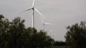 Optimize Energy activos renovables en mercados volátiles